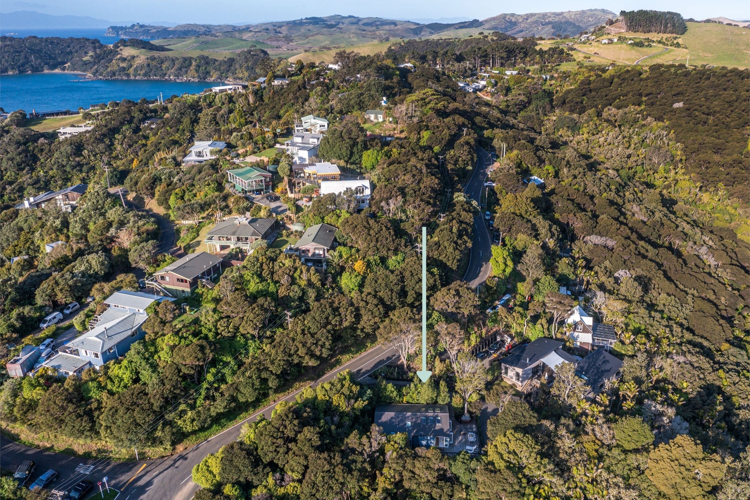 An aerial view of a residential area with houses surrounded by dense vegetation and a road.