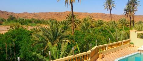 A pool area with a checkered floor, surrounded by palm trees and a desert landscape in the background.