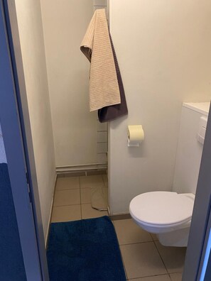 A small bathroom with a toilet, a towel rack with a towel, and a blue mat on the floor. - Hotel Fauwater (Kasterlee)
