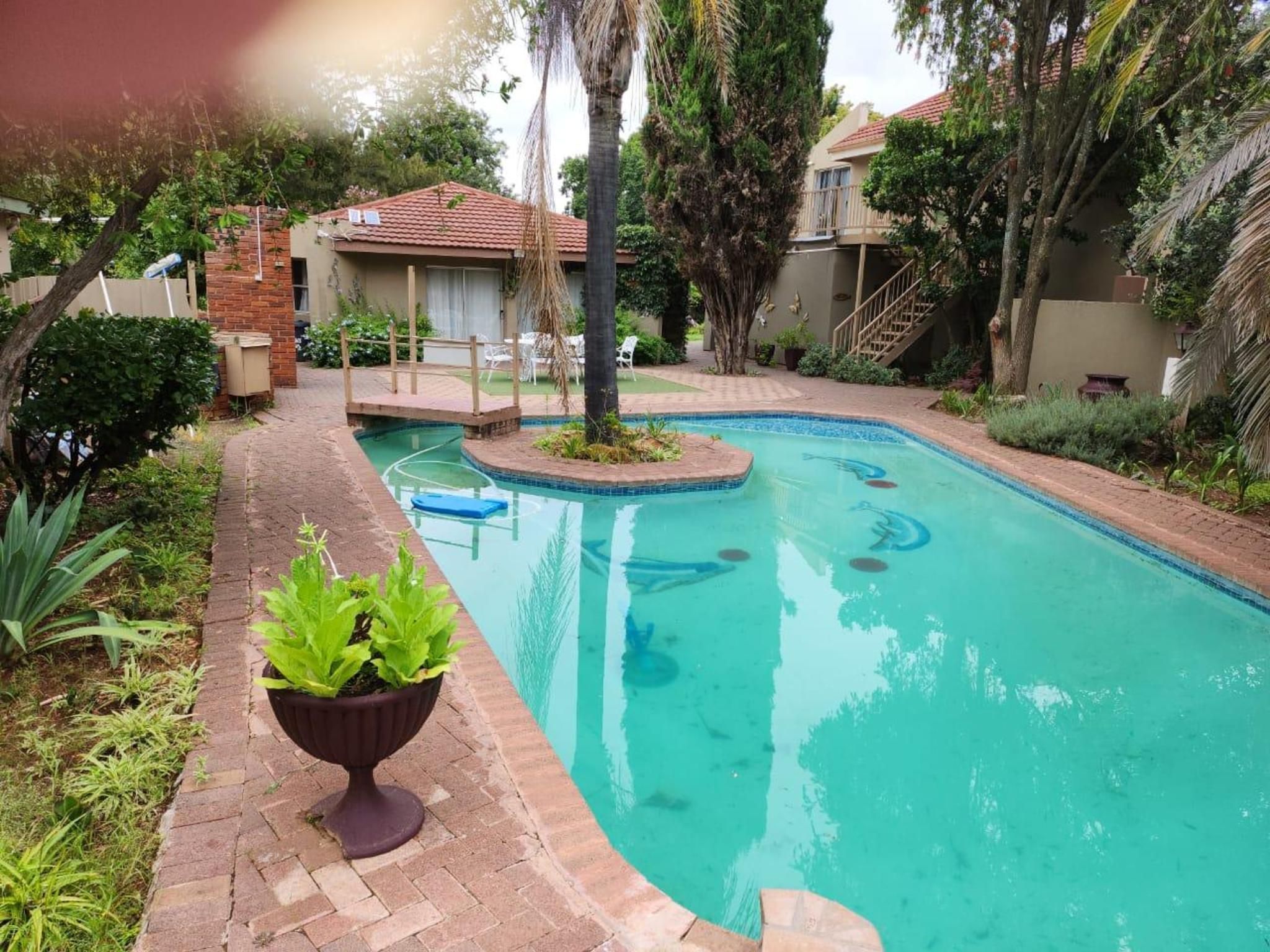 Piscina com borda de tijolos, rodeada por vegetação e uma pequena área de deck.
