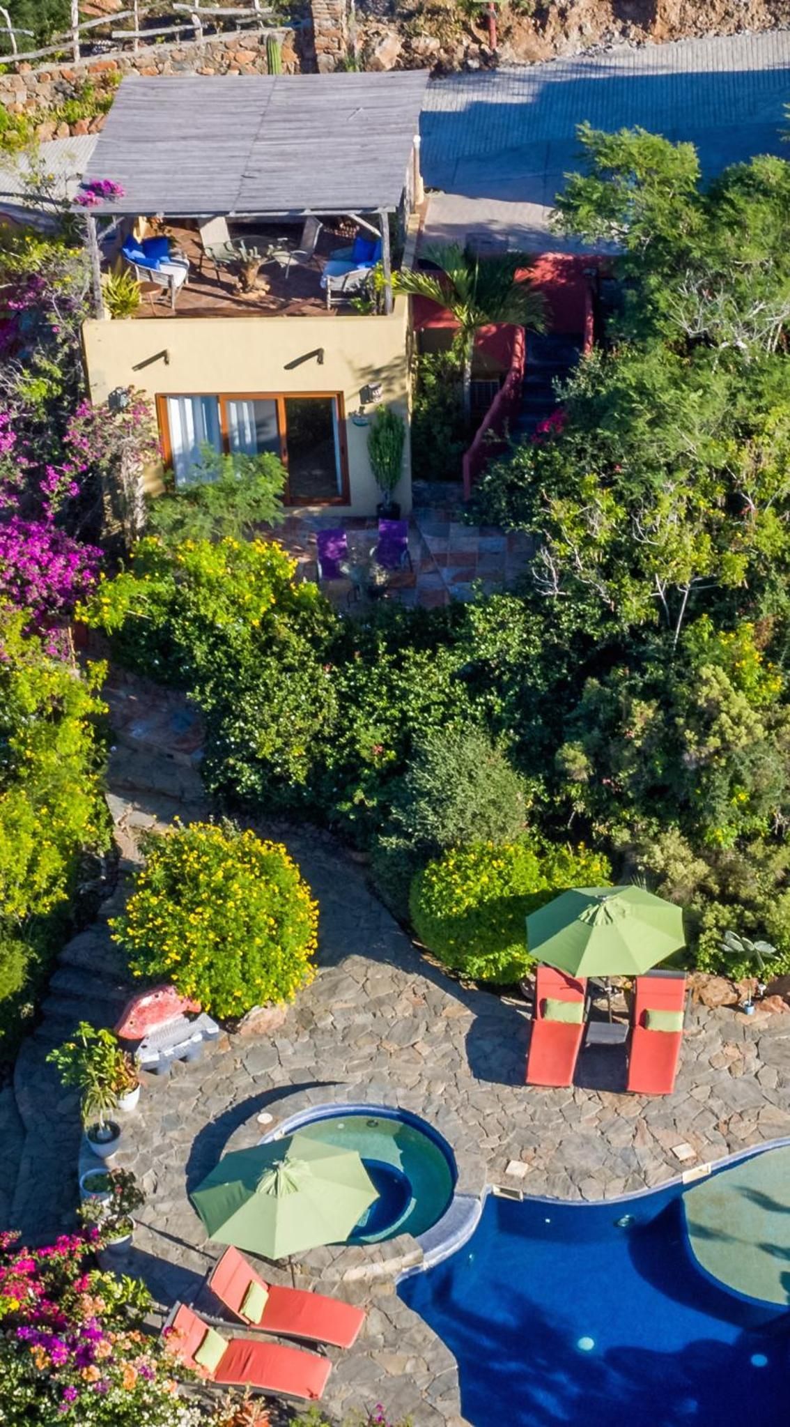 A residential property with a swimming pool, outdoor seating, and lush vegetation.