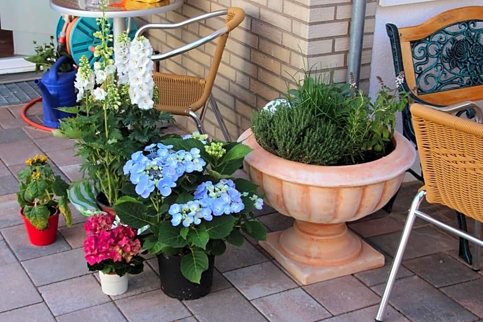 Un espace patio agrémenté de plantes en pot, de chaises en osier et d’une table.