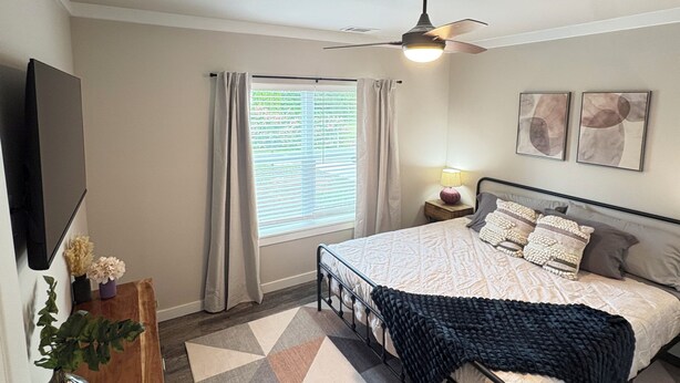 Room - Cozy 1-bedroom apartment in adorable Fayetteville Near Jack Daniel's! (Fayetteville)