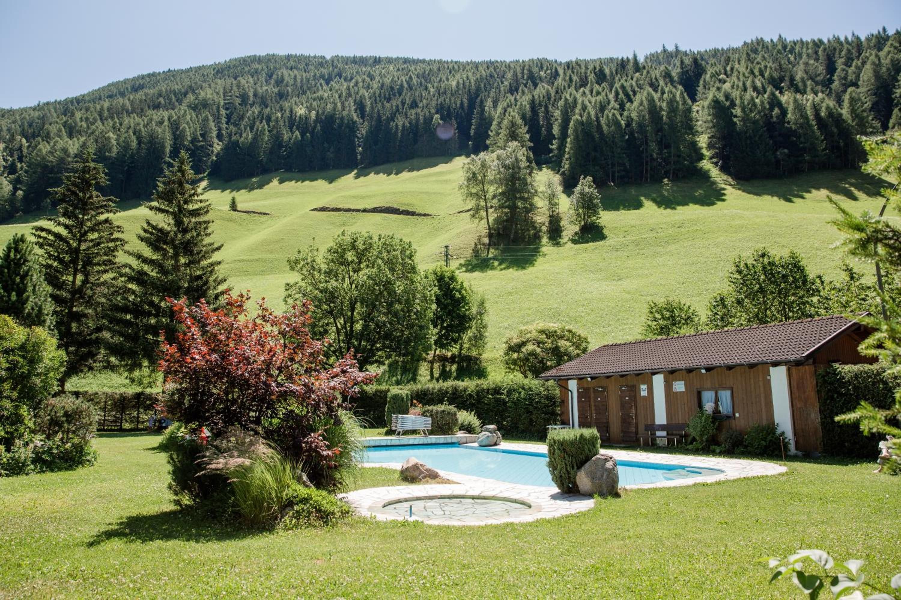 A house with a swimming pool, surrounded by a well-maintained lawn and trees.