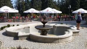 Una fuente con cuenca circular y un caño central, rodeada por una zona pavimentada con diseños de adoquines.