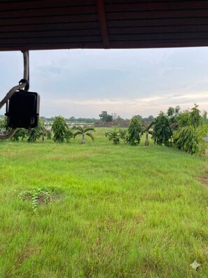 A view from under a roofed area with a grassy field and trees in the distance.