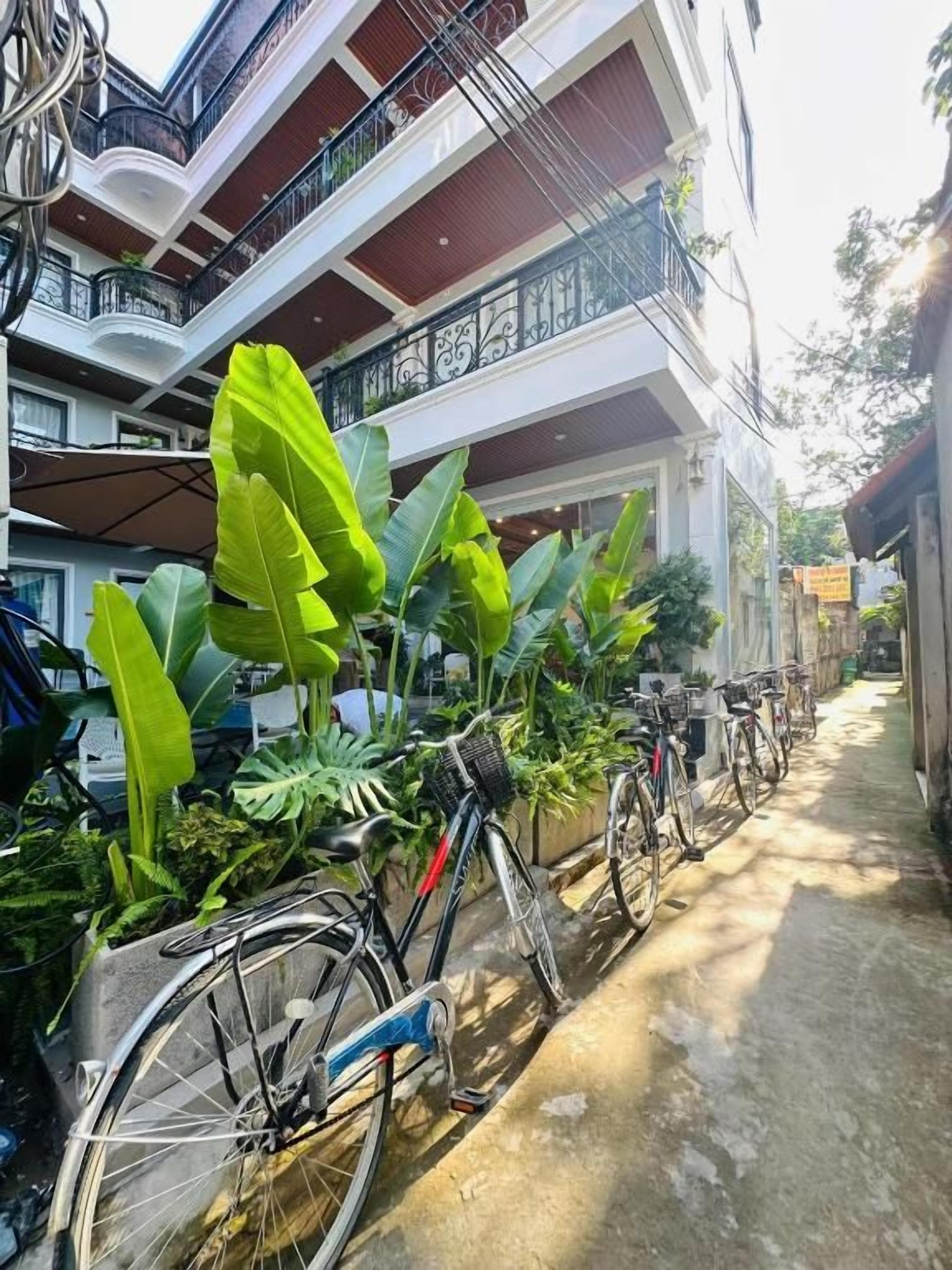 En bygning med flere balkoner, cykler parkeret udenfor og store grønne planter.