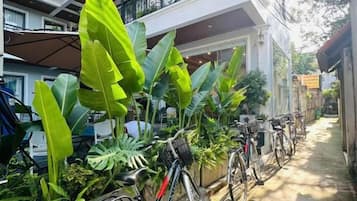 En bygning med flere balkoner, cykler parkeret udenfor og store grønne planter.