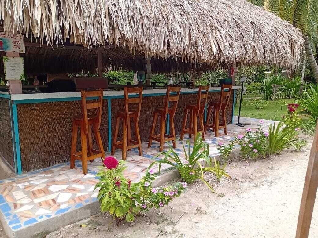 Zona de bar al aire libre con techo de paja, sillas de madera y piso de baldosas.