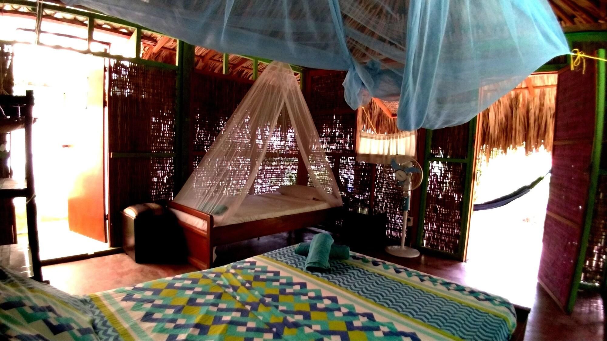 A room with a bed under a mosquito net, a small table, and a fan.