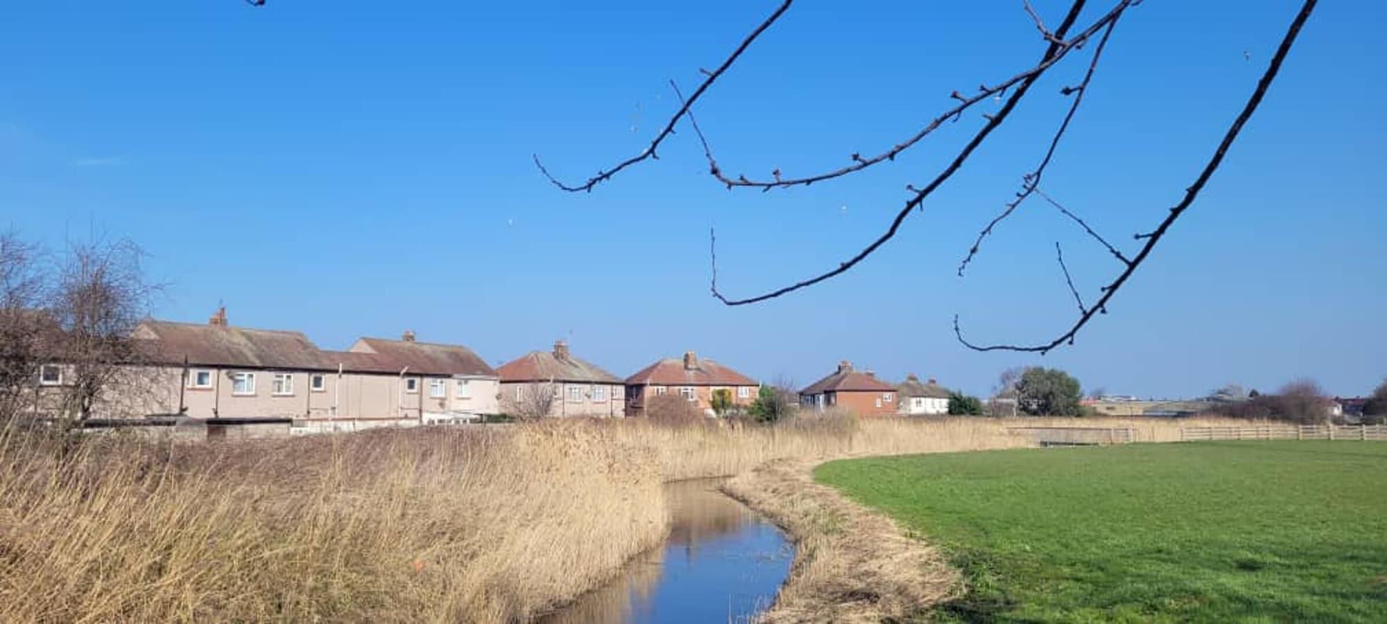 A rural setting with houses along a stream, a grassy field, and bare branches overhead.
