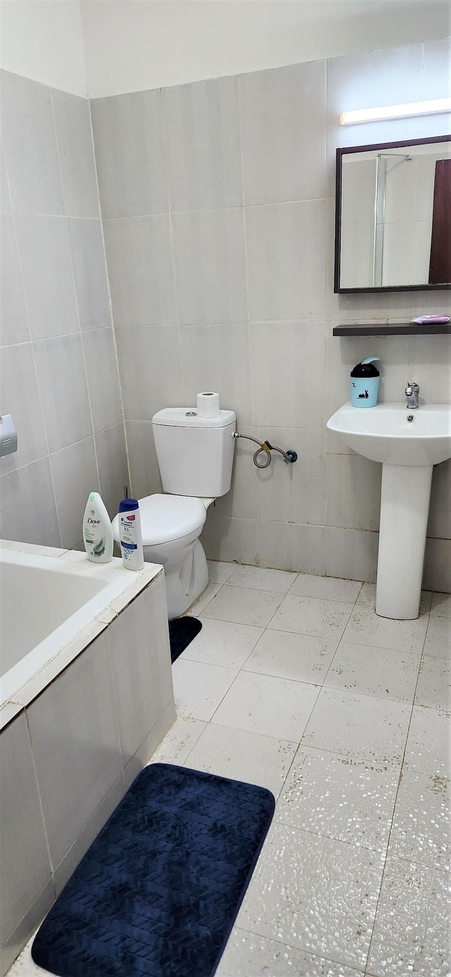 Un baño con inodoro, lavabo y espejo sobre él.