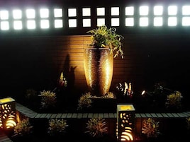 A darkened outdoor area with a large, illuminated planter with a plant, surrounded by smaller potted plants and decorative lights.