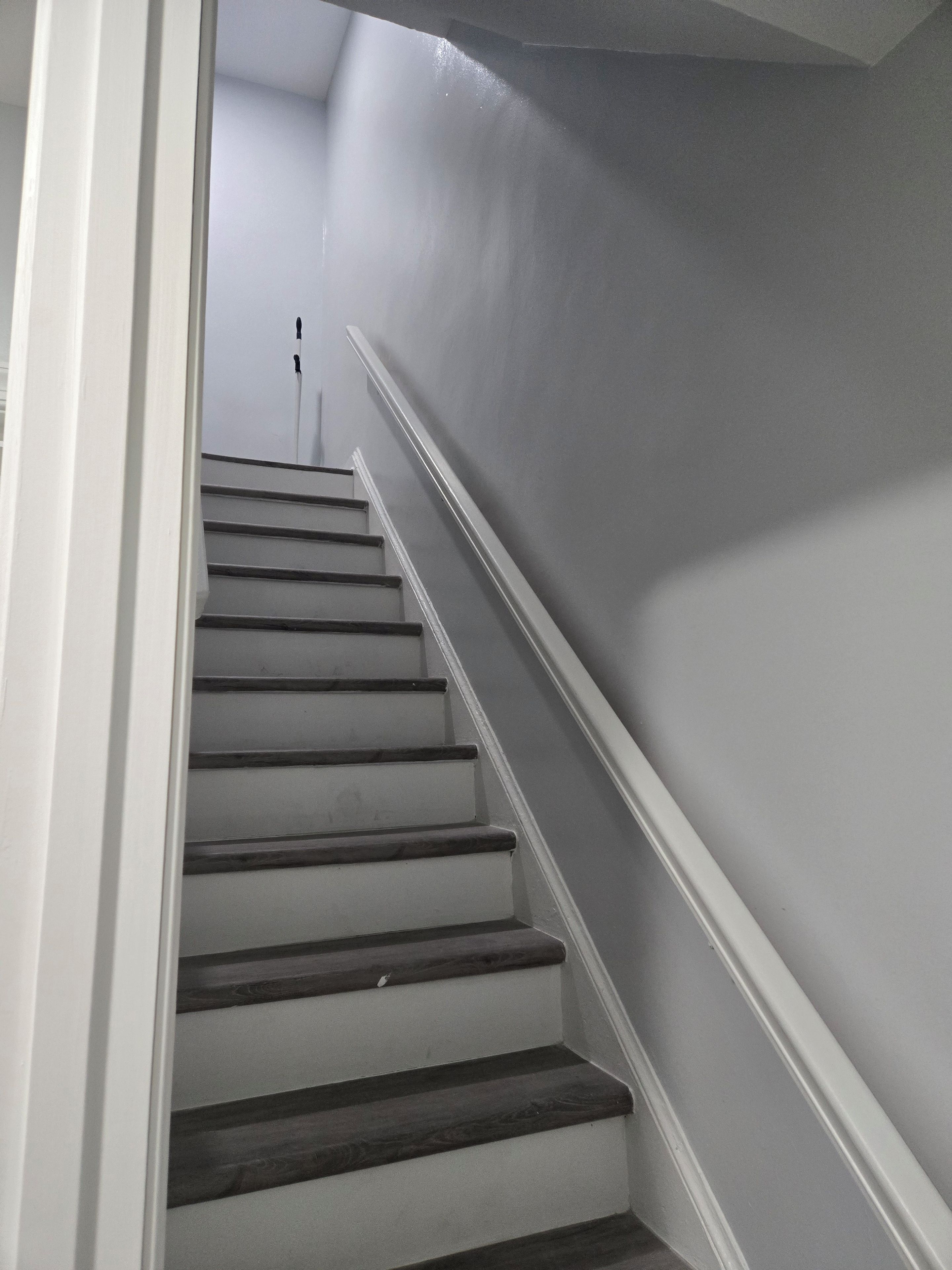 A staircase with a handrail and a light-colored wall.