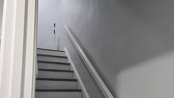 A staircase with a handrail and a light-colored wall.