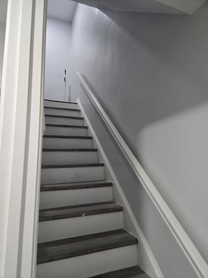 A staircase with a handrail and a light-colored wall.