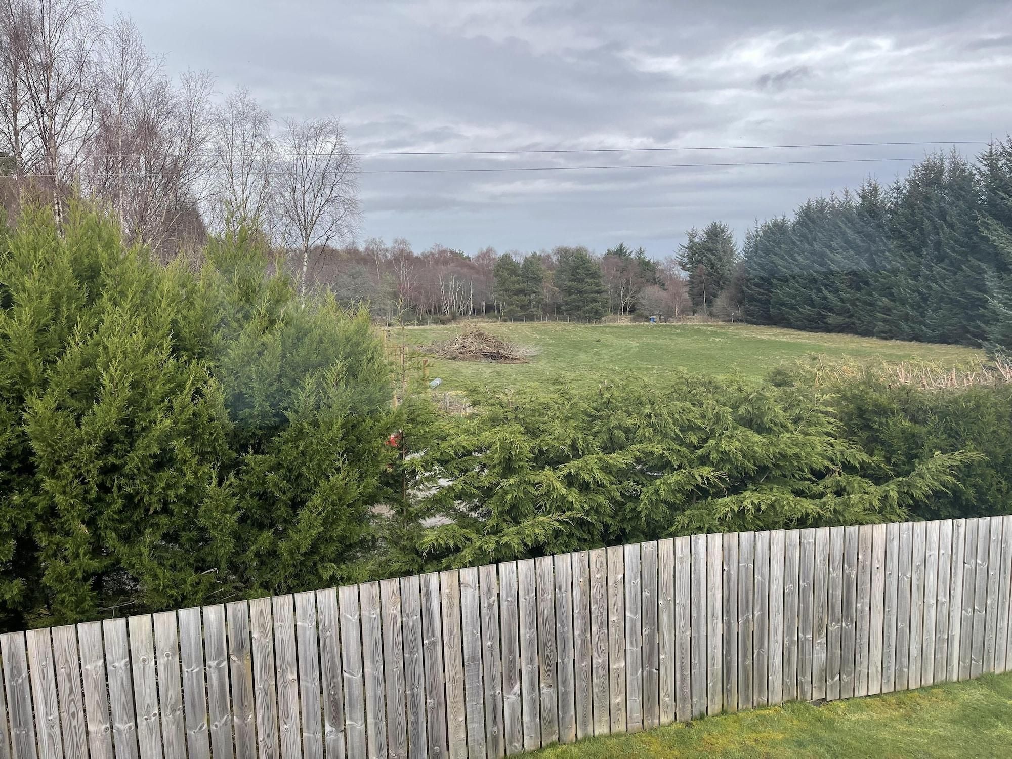 A fenced yard with a grassy area and trees.