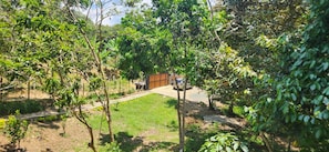 A residential area with a paved driveway leading to a house with a visible garage.