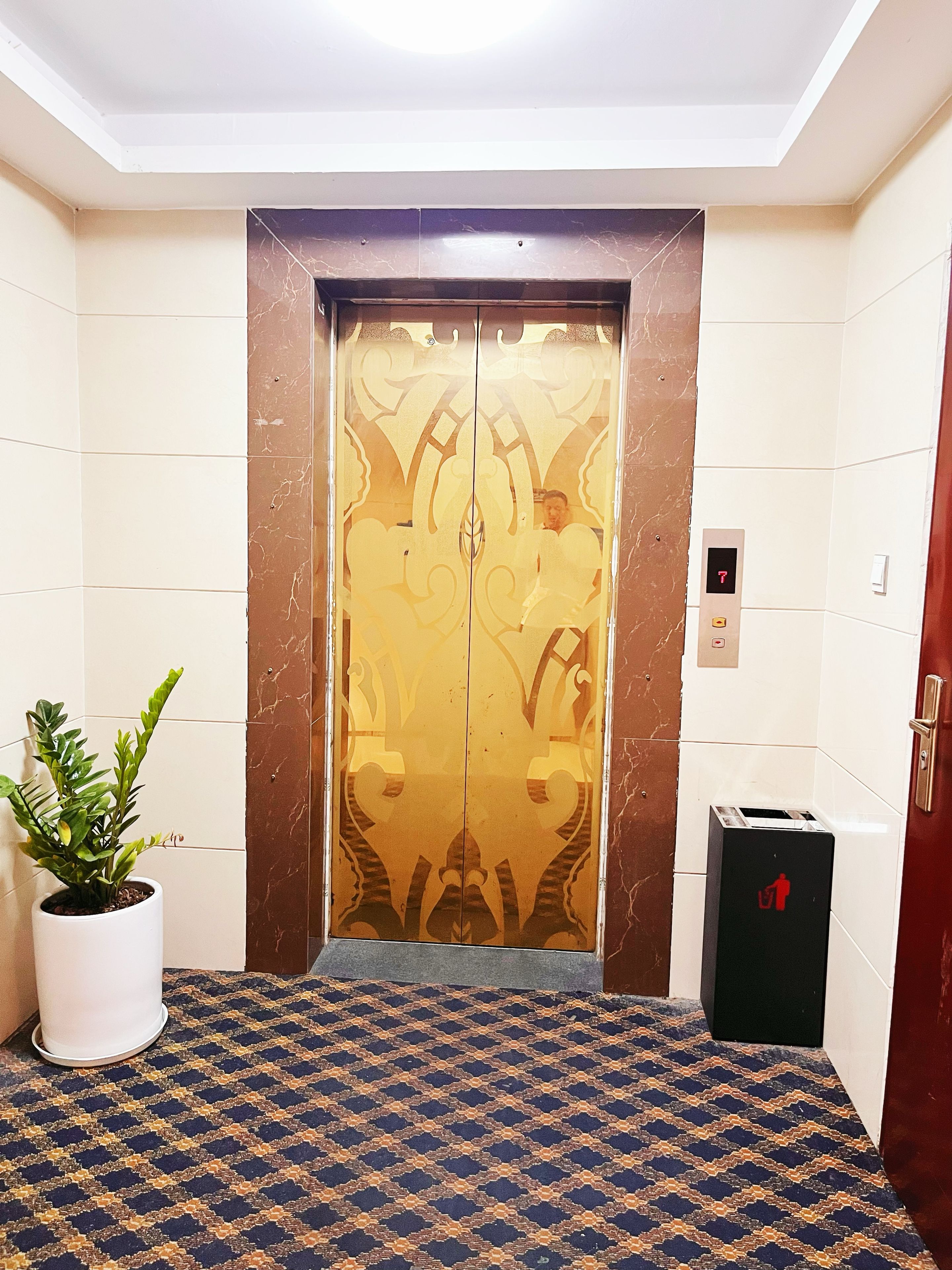 An elevator with a decorative door, a potted plant, and a trash bin.