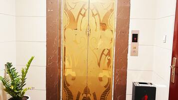An elevator with a decorative door, a potted plant, and a trash bin.