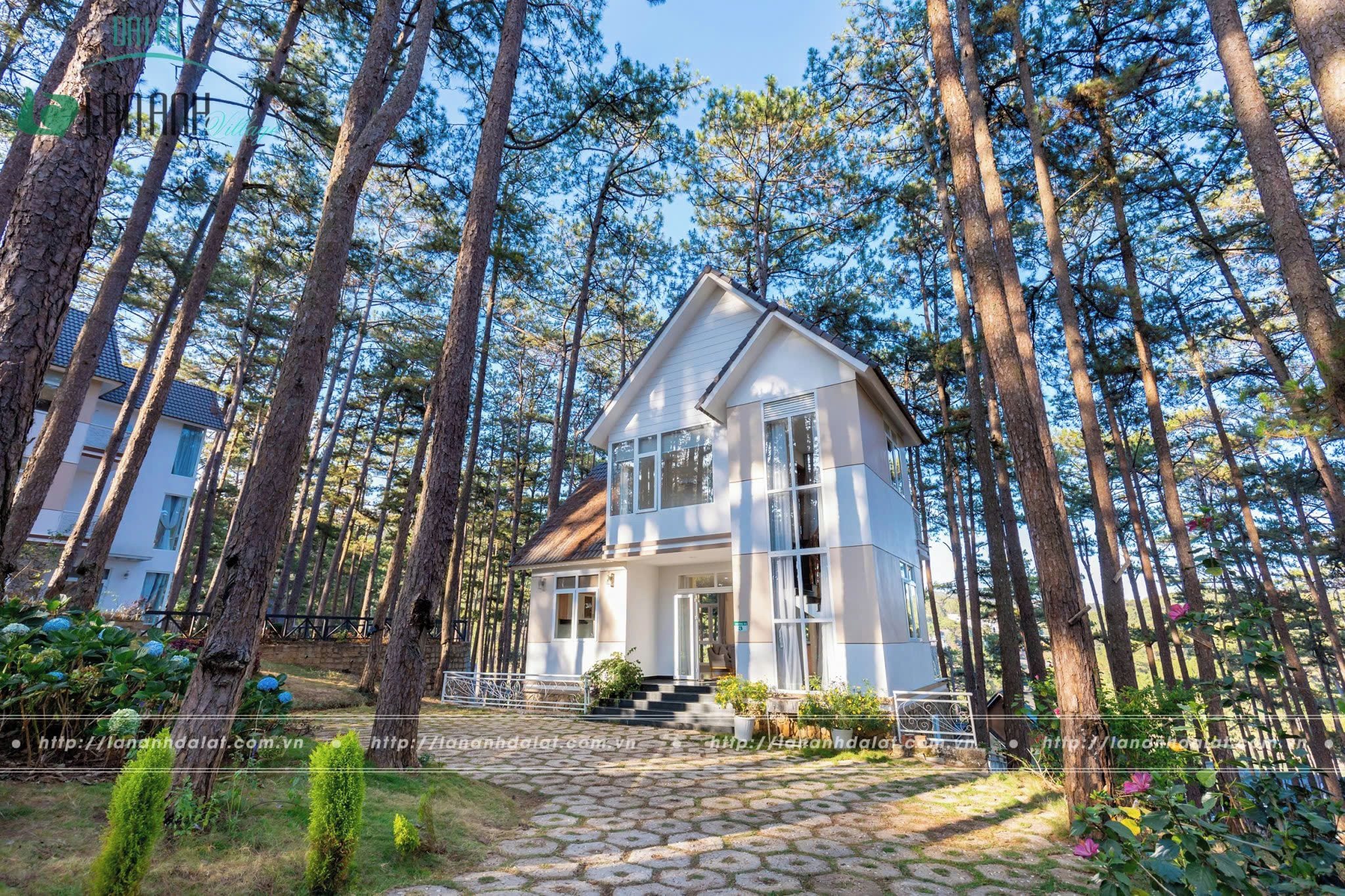 Udendørsområde