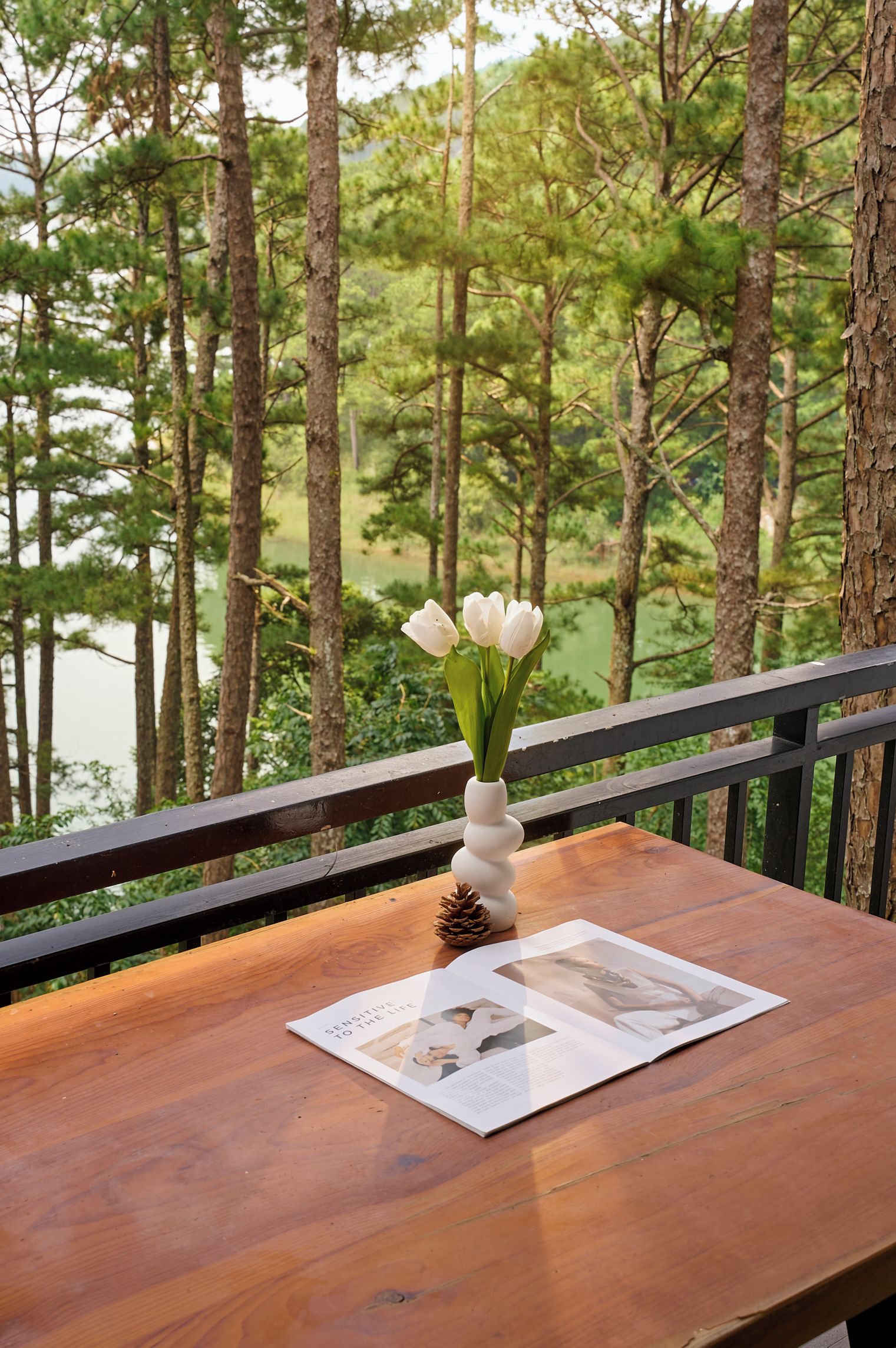 Pemandangan dari properti