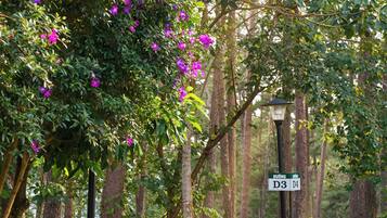 A road with a street lamp and a sign indicating the intersection of D3 and D4.