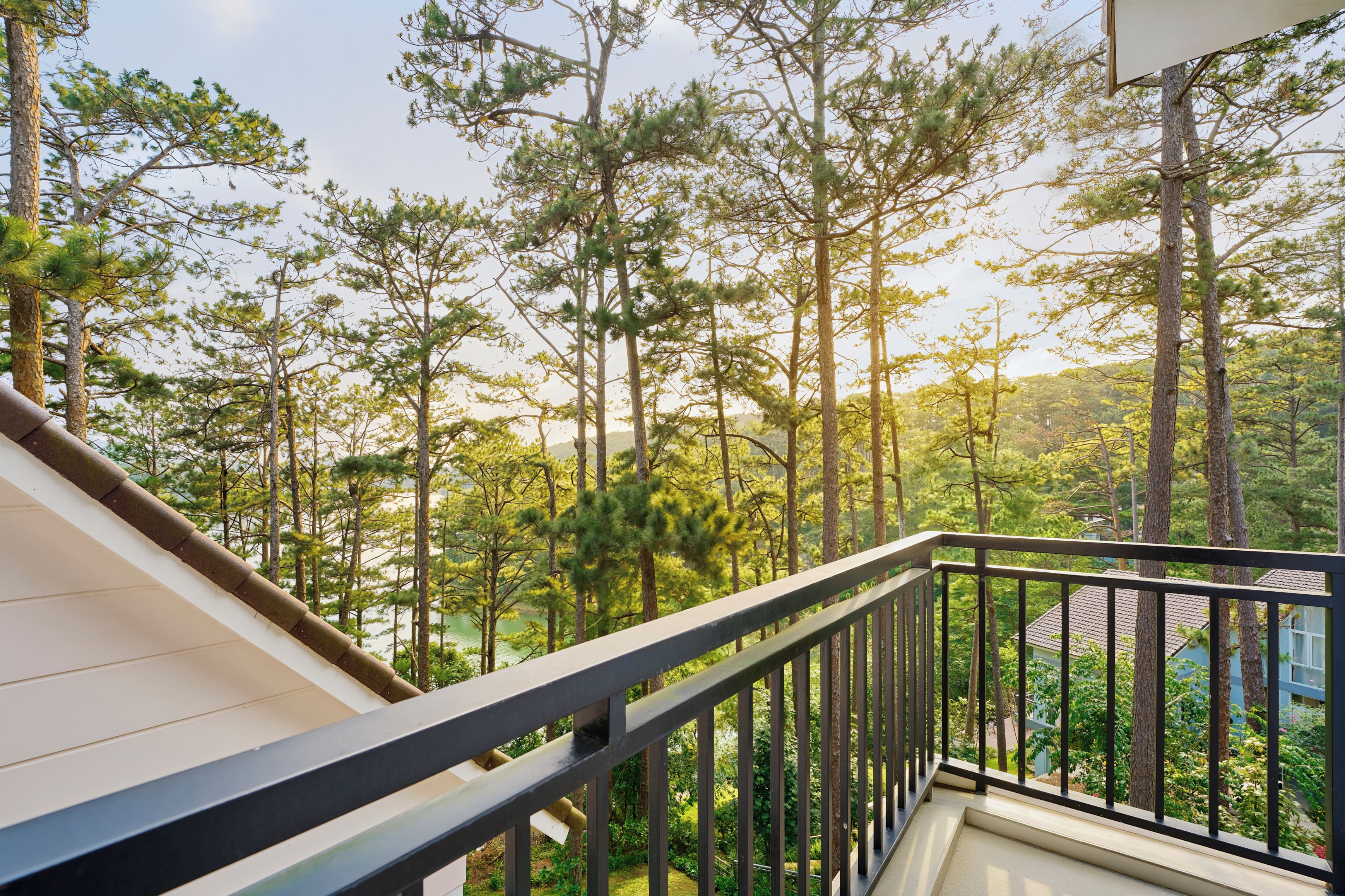 A balcony with a railing overlooking a forested area with tall trees.