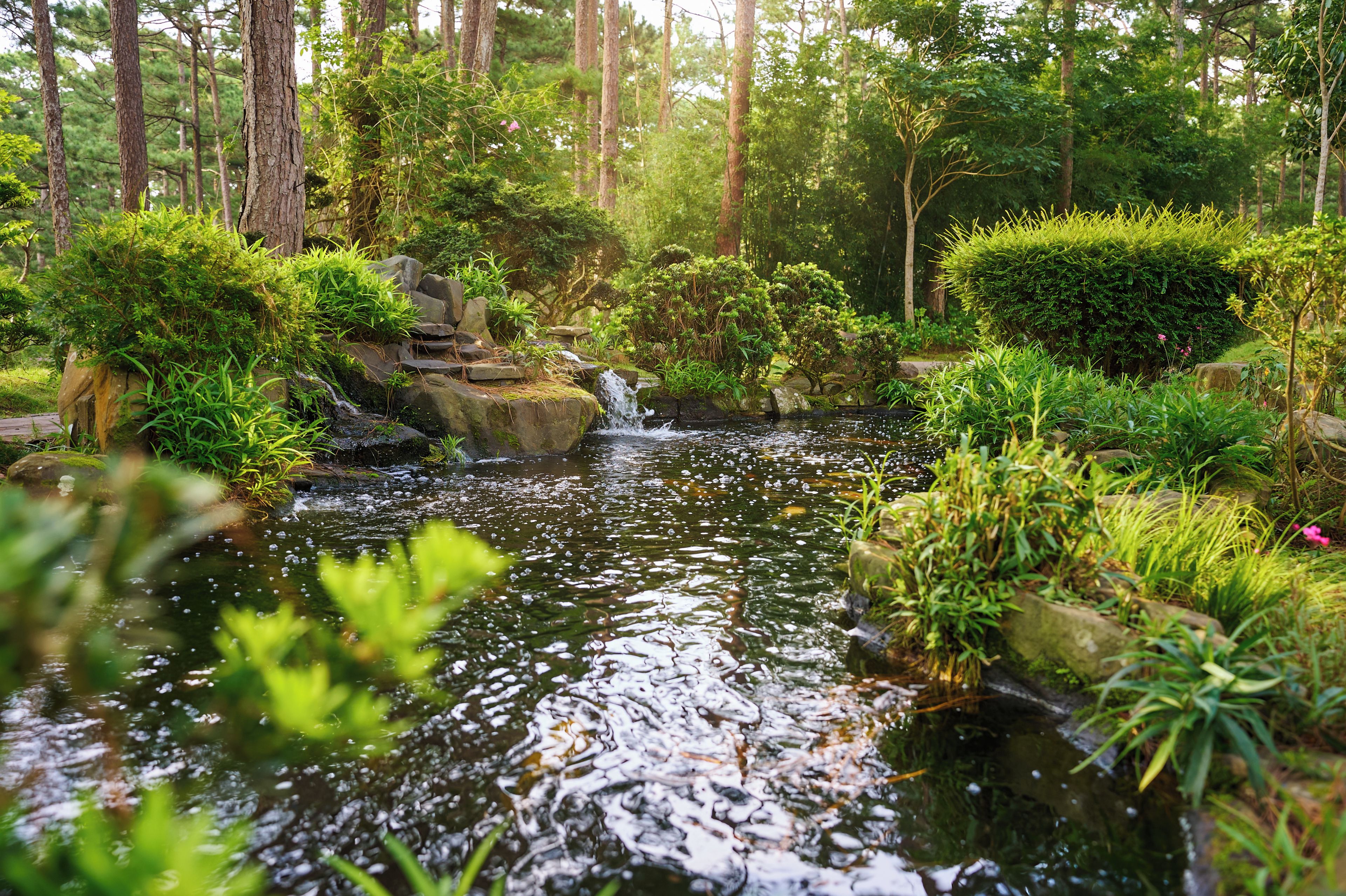 A tranquil garden with a small stream, surrounded by dense greenery and trees.