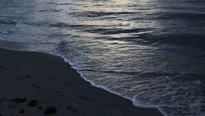 Une plage avec des vagues et un ciel nuageux.