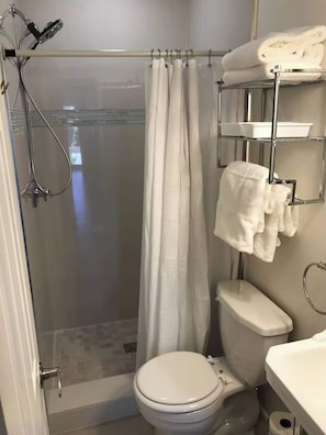 Casa de banho com chuveiro, sanita e porta-toalhas.