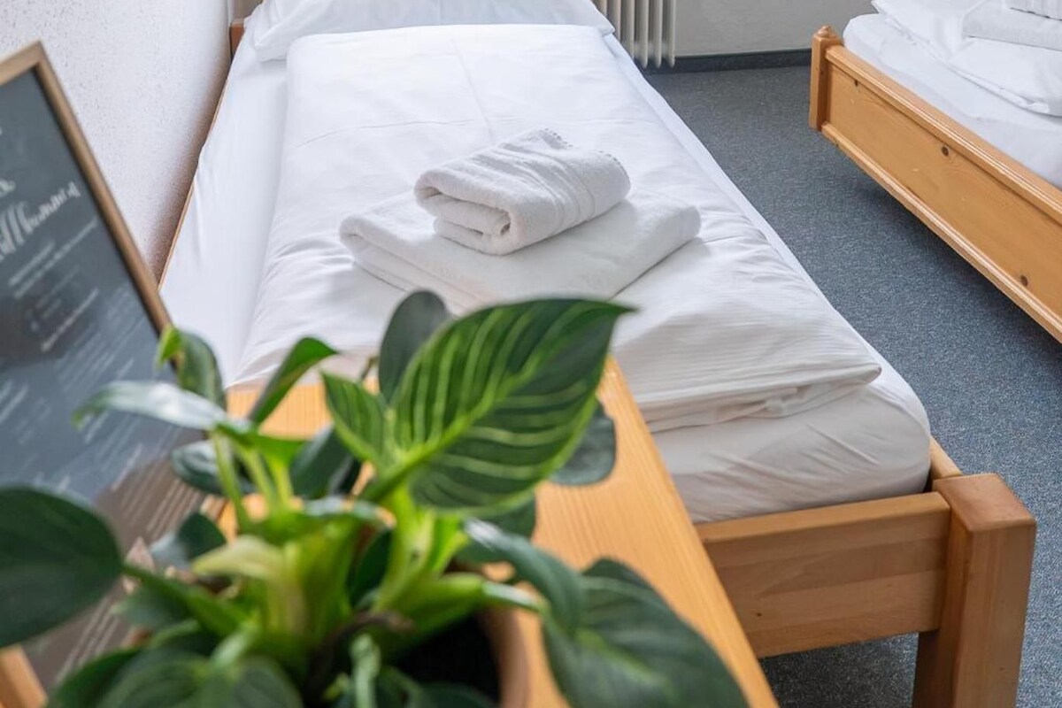 A hotel room with a single bed, a second bed, a radiator, a window with curtains, and a plant on a table.