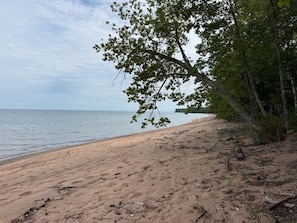 Ein Strand mit sandigem Ufer und einer Baumreihe.