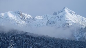 Vista des de l'allotjament
