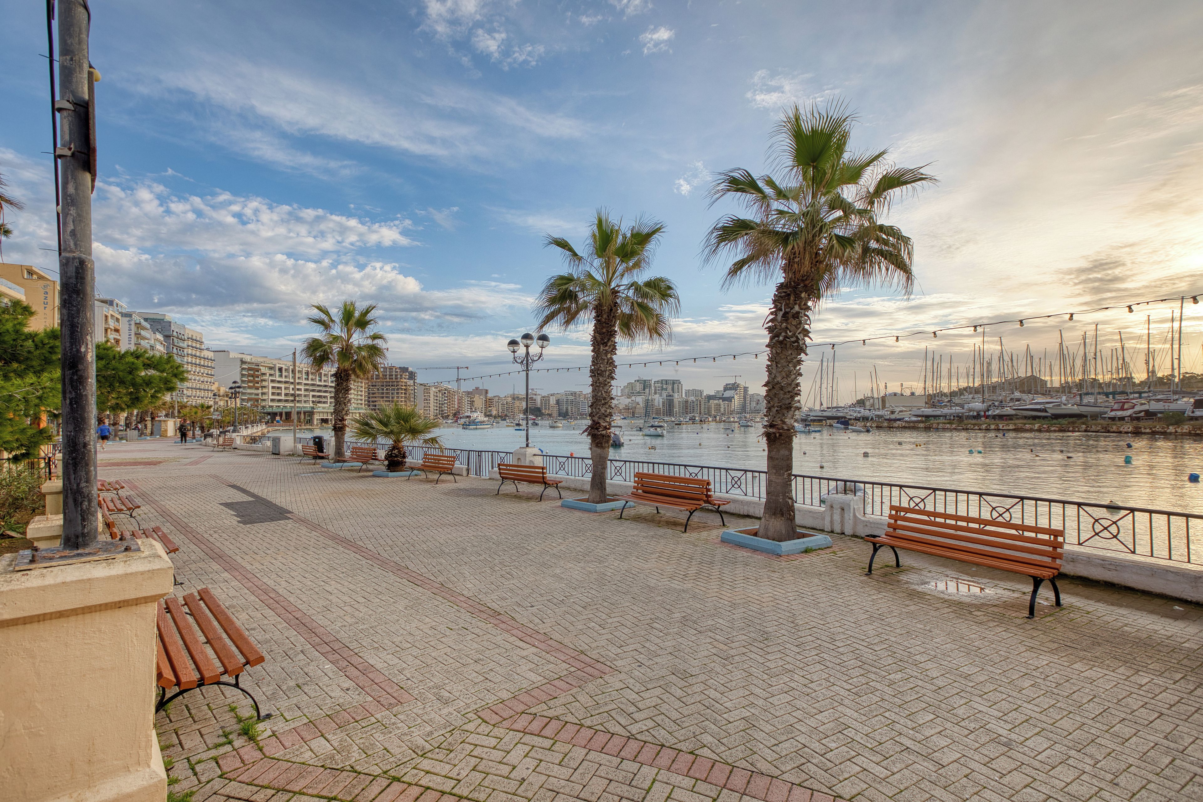 Une promenade en bord de mer, agrémentée de bancs et de palmiers, qui offre une vue sur un port de plaisance avec ses bateaux.