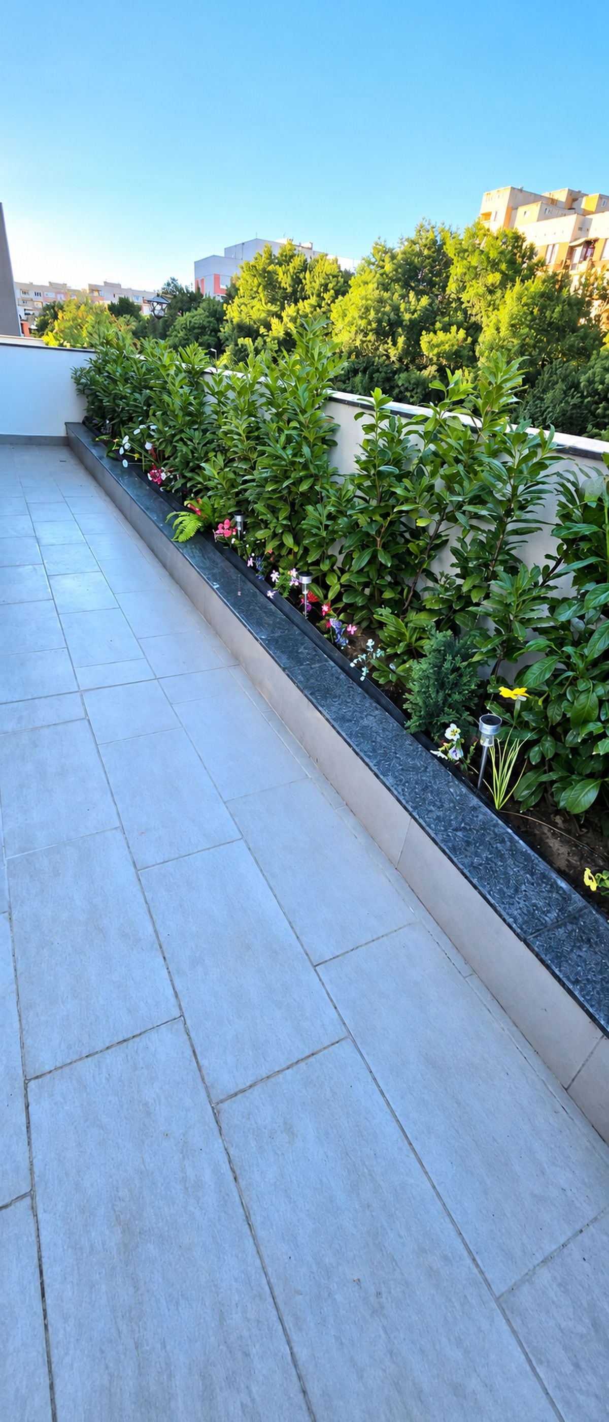 A rooftop terrace with a tiled floor, a low wall with greenery and flowers, and buildings in the background.