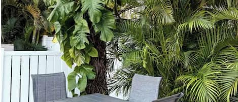 Un patio al aire libre con una mesa y sillas, rodeado de exuberante vegetación tropical.