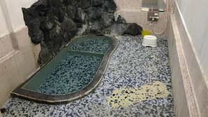 Spa - Aizu Higashiyama Onsen Niko Ryokan (Aizuwakamatsu)