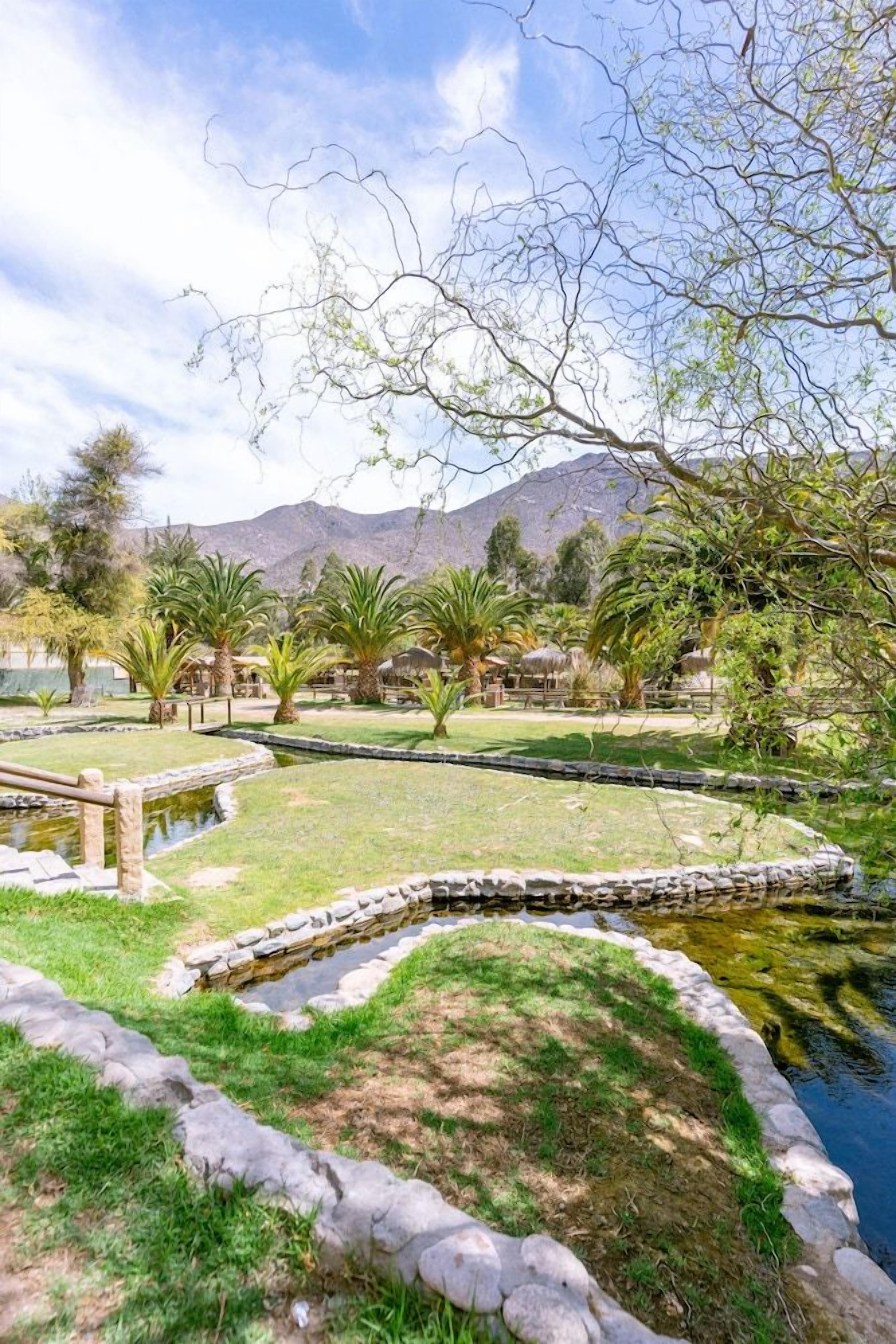 Un jardín ajardinado con un estanque, palmeras y montañas al fondo.