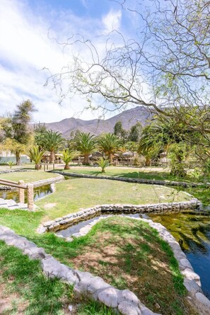 Un jardin aménagé avec un étang, des palmiers et une chaîne de montagnes en arrière-plan.
