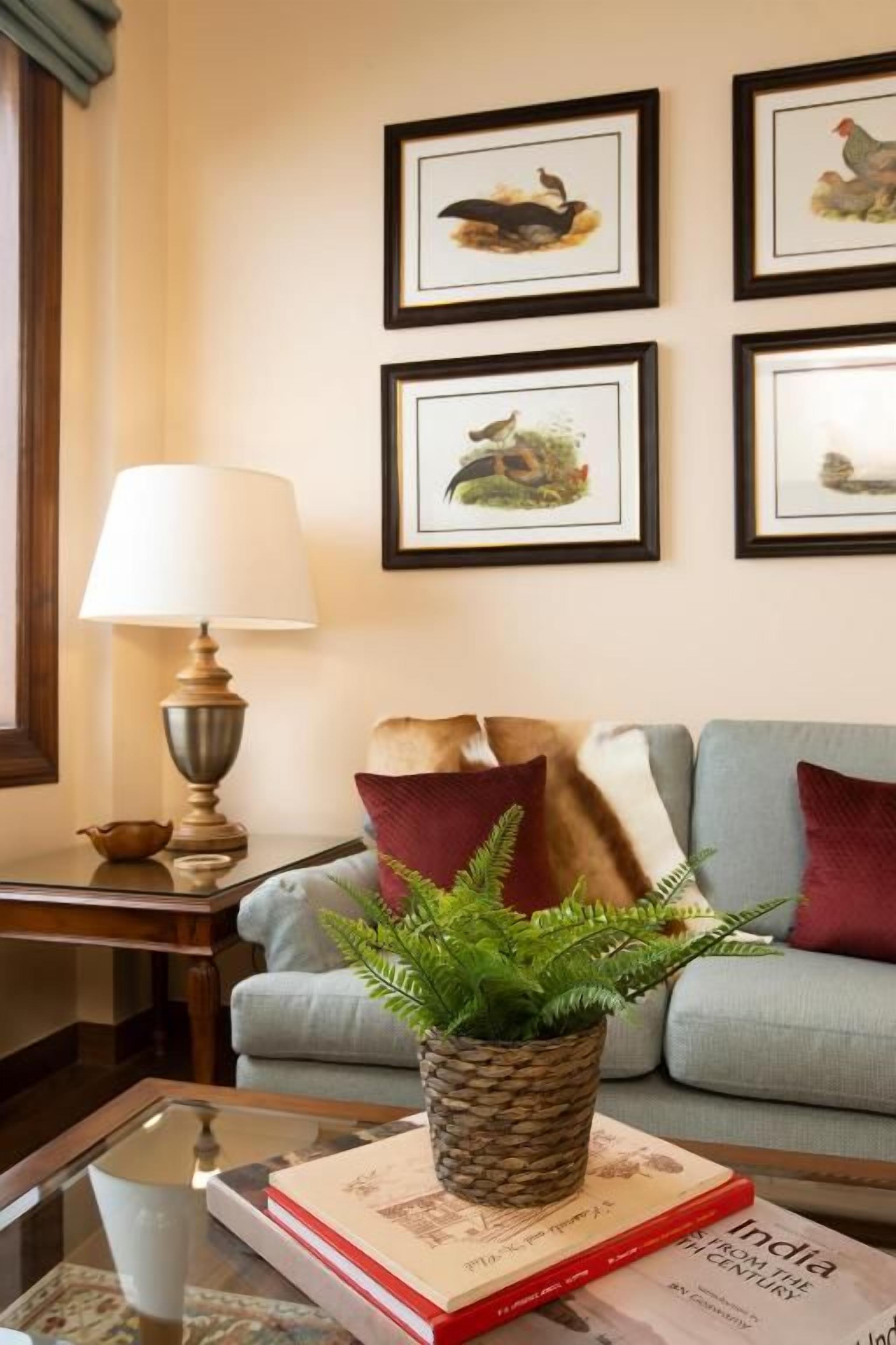 A living room with a sofa, a lamp, a coffee table with a book and a plant, and framed pictures on the wall.