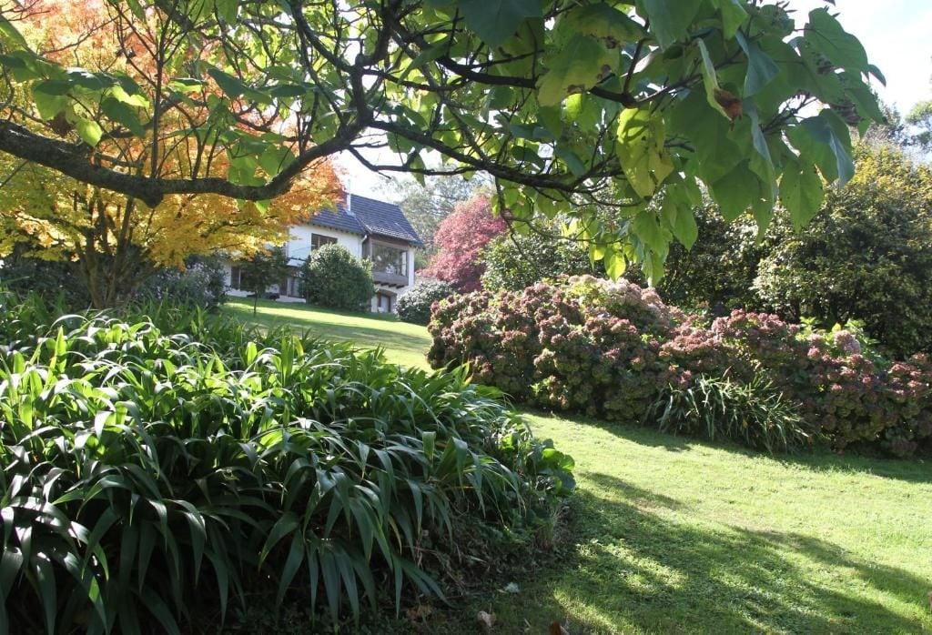 A well-maintained garden with a variety of plants and a lawn, a house in the background, and a tree with autumn-colored leaves.