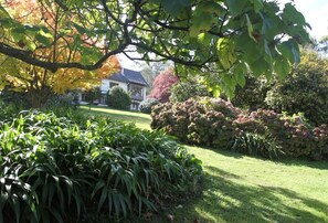 A well-maintained garden with a variety of plants and a lawn, a house in the background, and a tree with autumn-colored leaves. - Boyanda (Ferny Creek)