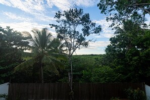 A view of a lush garden with a variety of trees, including a prominent palm tree, and a wooden fence in the foreground.