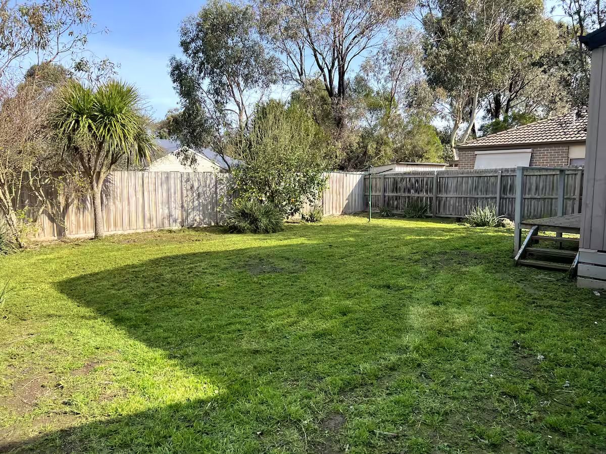 A backyard with a wooden fence, a grassy lawn, and a small shed.