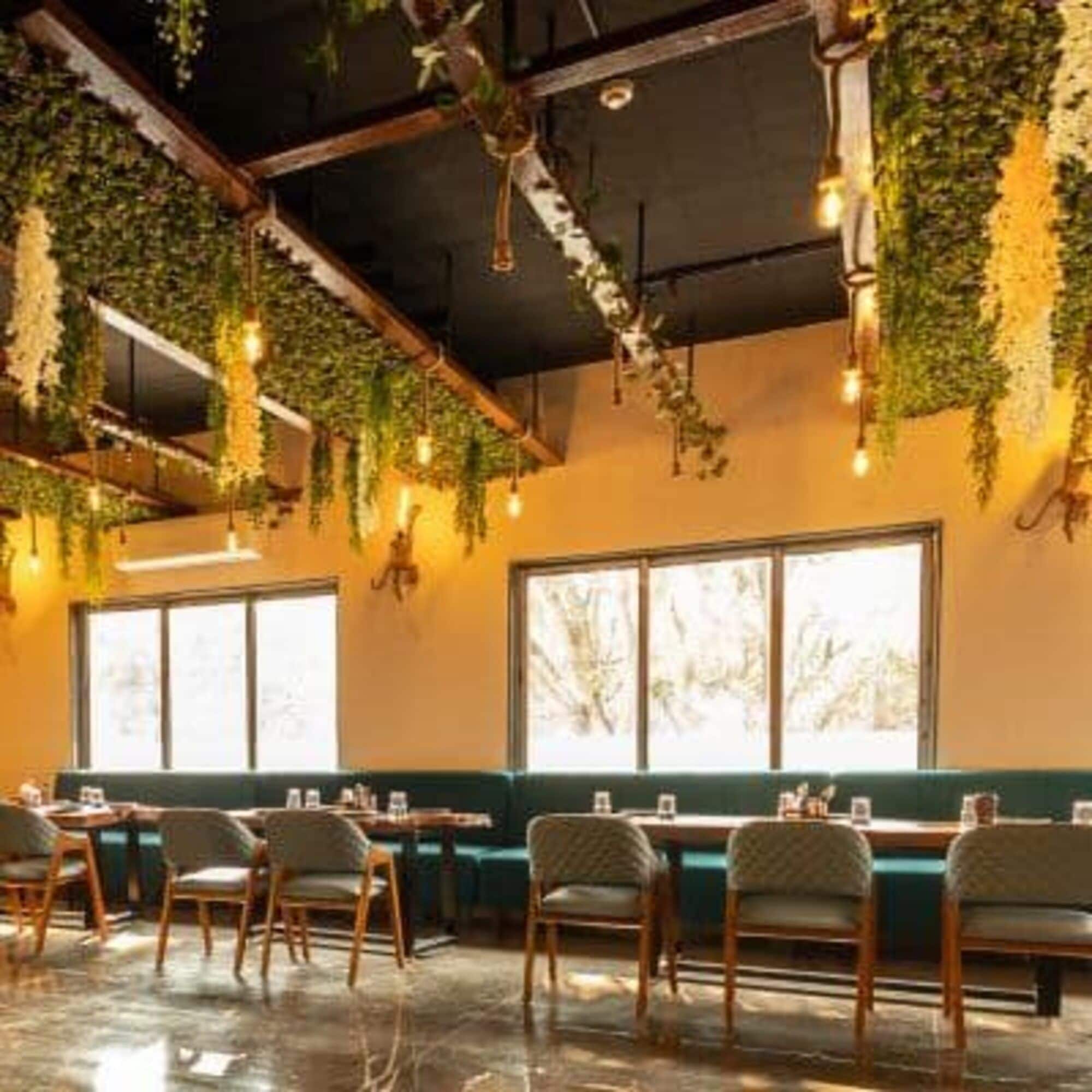 A restaurant interior with hanging plants, wooden chairs, and tables.