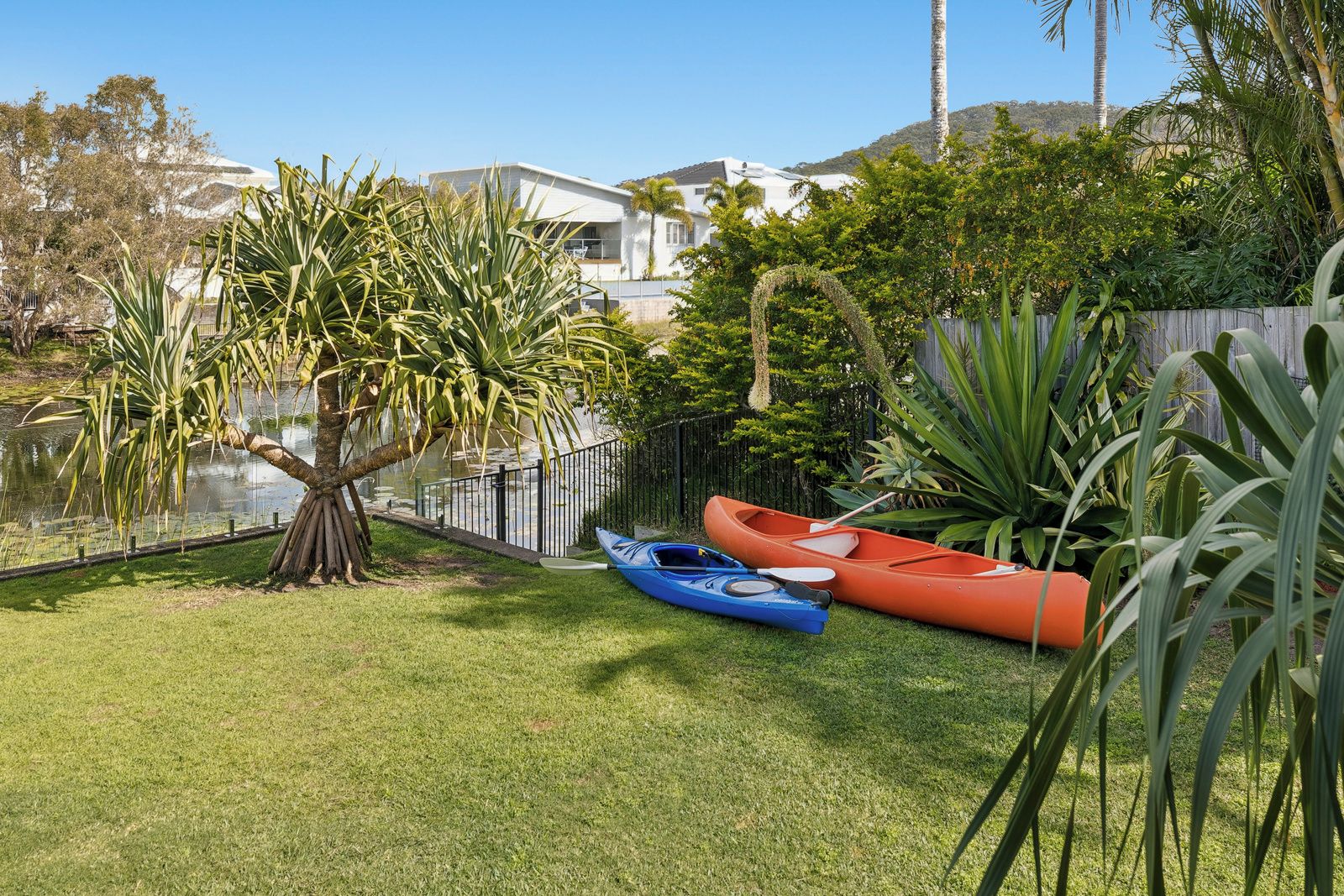 A backyard with a small pond, two kayaks, and a variety of tropical plants.