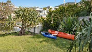 A backyard with a small pond, two kayaks, and a variety of tropical plants.
