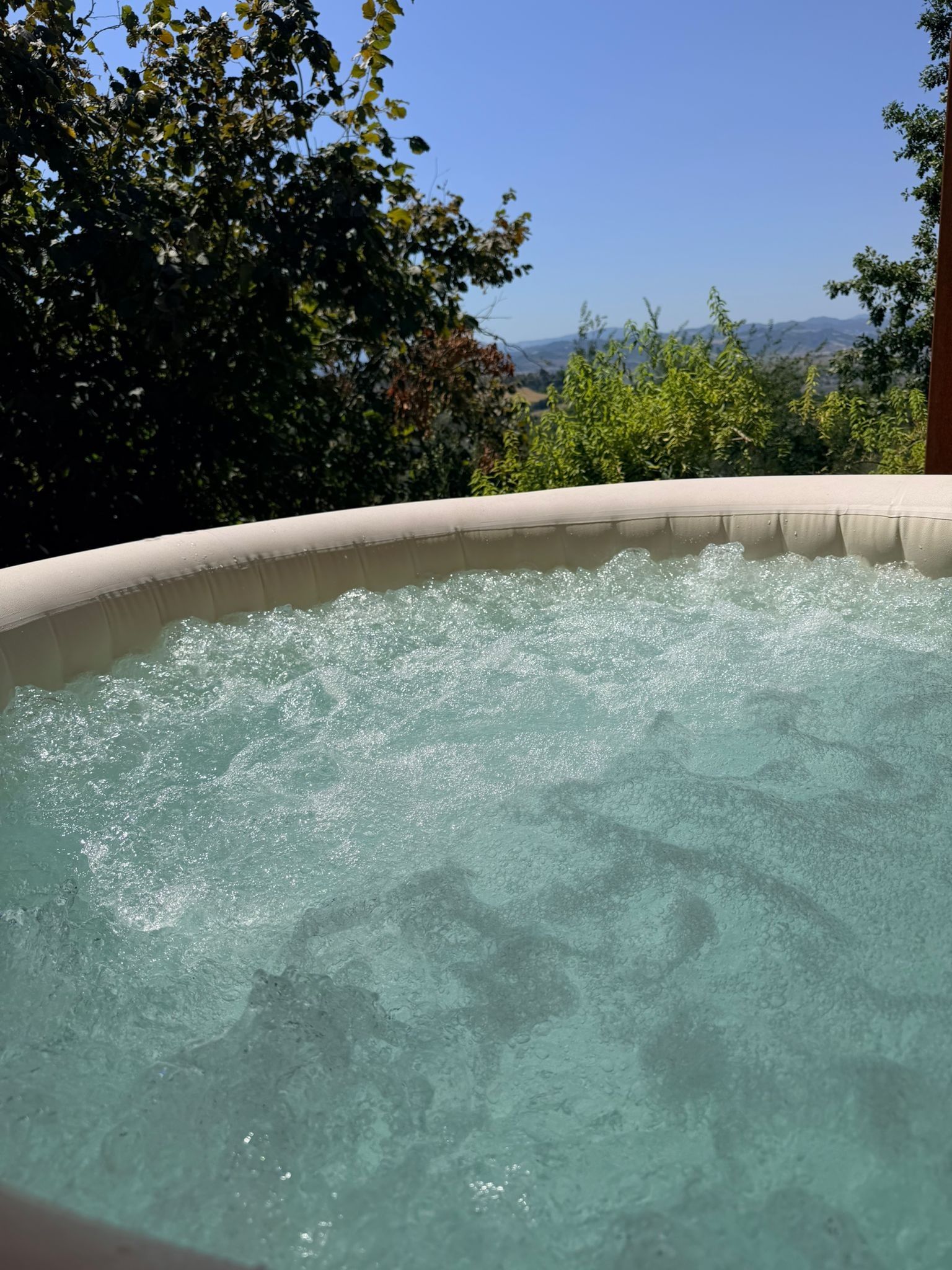 Un jacuzzi rodeado de árboles con vista despejada del paisaje.