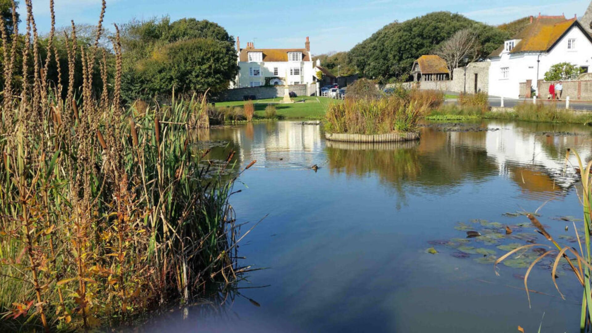 A calm pond with reeds, a white house, and a stone building in the background.